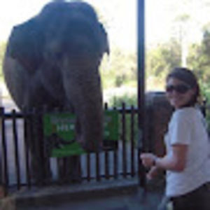 Items in need of loving homes